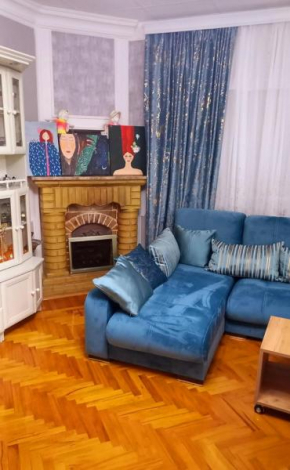 Central Apartment 
